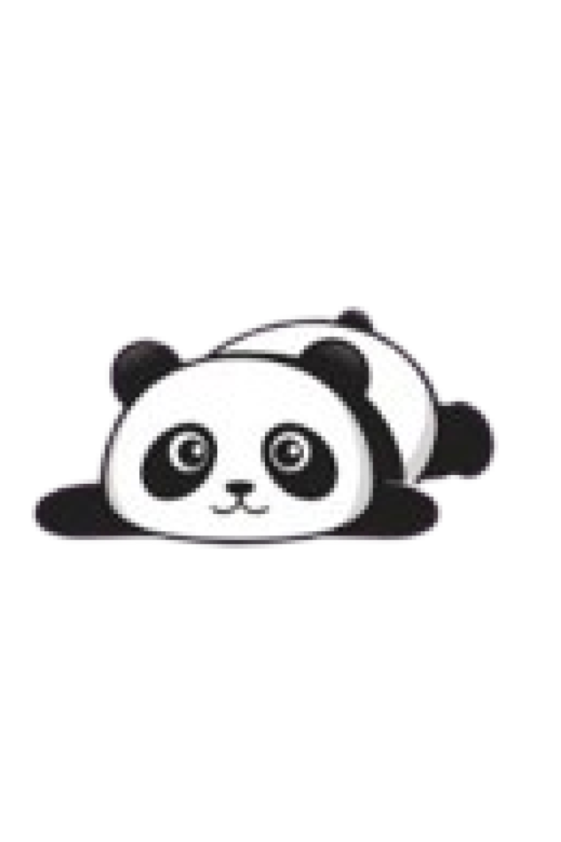 Panda Crop Top